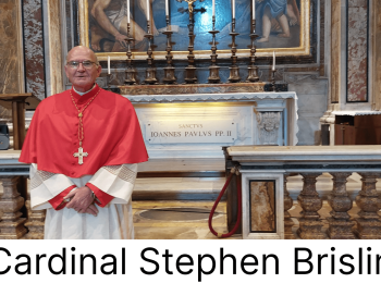 Pope Francis Appoints Cardinal Brislin Metropolitan Archbishop of Johannesburg