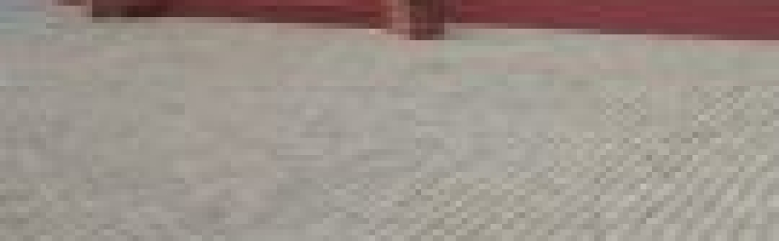 Catholic Diocese of Polokwane March 2026