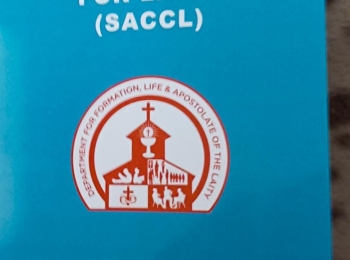 Laity Council Constitution