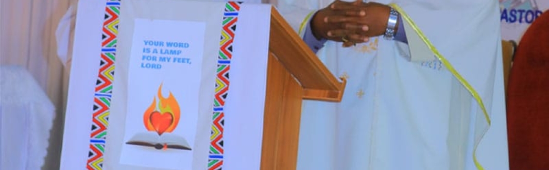 Polokwane Diocese Bible Study